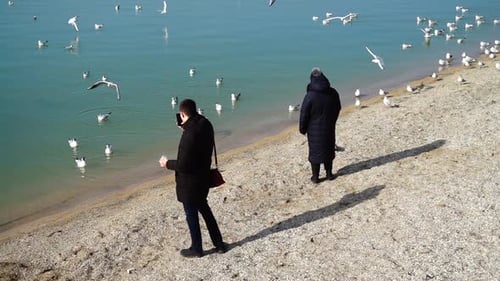 People Watch Seagulls on Sandy Beach by Ocean