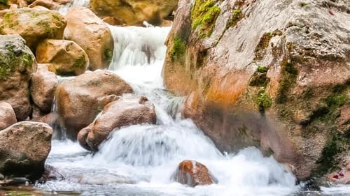 Stream correndo rápido na floresta verde de verão