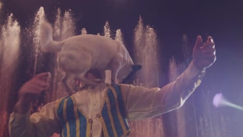 Spectacle de cirque avec un chien fourbe et un dompteur