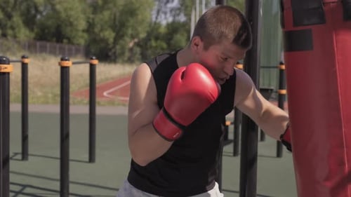 Young Man Boxing Outdoors on Sunny Day
