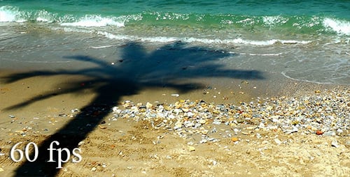 Schatten der Palmen und Wellen am Strand 2