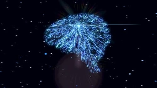 Brain Thought Cerebral Cortex Matter 4K