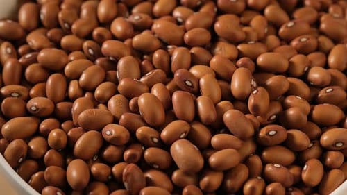 Shiny Brown Beans Piled in a Bowl