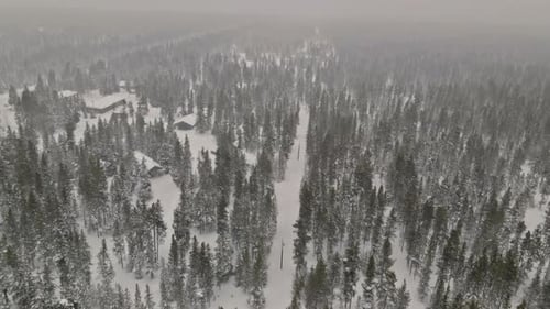 Winter Trail Snowy Forest Path Heavy Snowfall