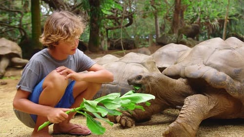 Interaction Between Humans and Animals