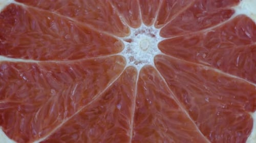 Frische saftige Scheibe roter Grapefruit wird auf Nahaufnahme gedreht