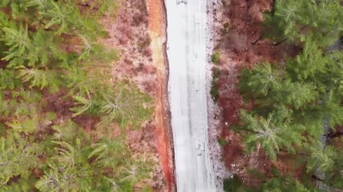 Mountain road in forest.