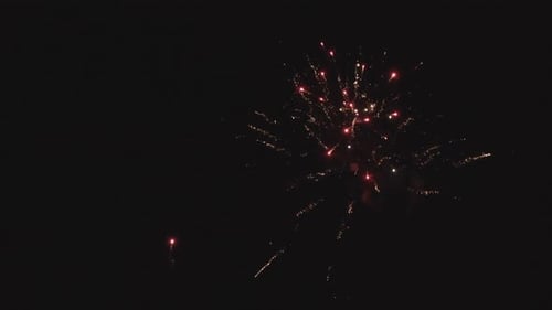 Exploding Fireworks Display at Night