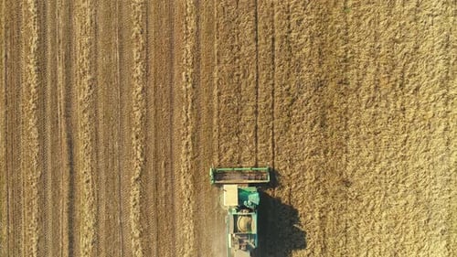 Aerial View of Modern Combine Harvesting Wheat on the Field