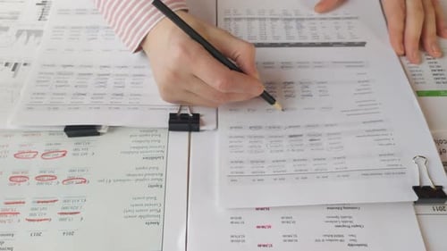 Accountant Reviewing Financial Spreadsheets at Desk
