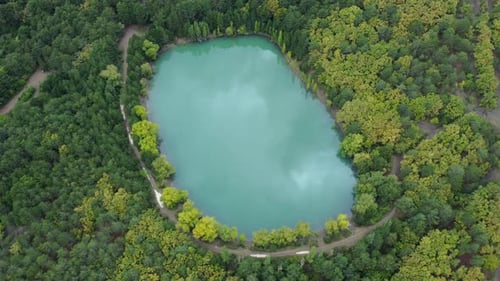 Aerial footage of a green lake with a reflection of clouds on the surface in the woods