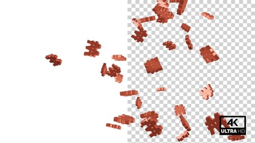 Flying Currency Symbols Won - Copper V3
