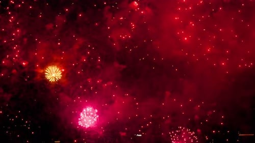 Bright Colorful Fireworks Burst in the Night Sky