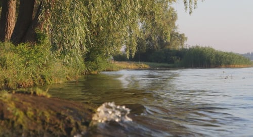 Riverbank