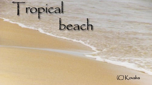 Tropischer Strand