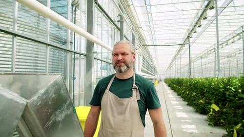 Man Walks Through Greenhouse Filled with Plants