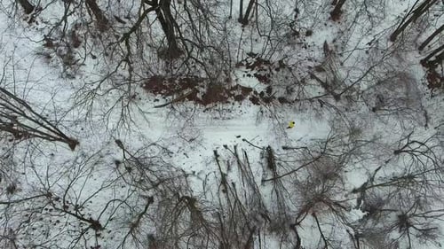 Coureur en manteau jaune Jogging sur un sol enneigé sous les arbres en hiver