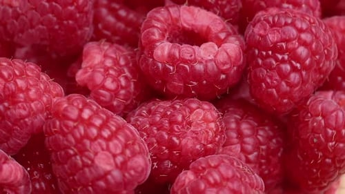 Close-Up of Fresh Red and Juicy Raspberries