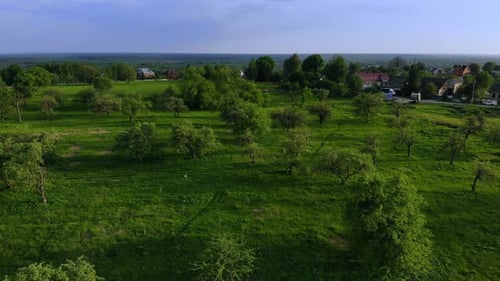 Aerial View of Green Summer Forest and Canyon at Sunset