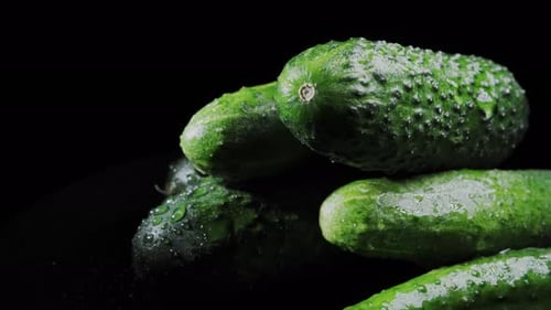 Fresh Green Cucumbers with Water Droplets on Black