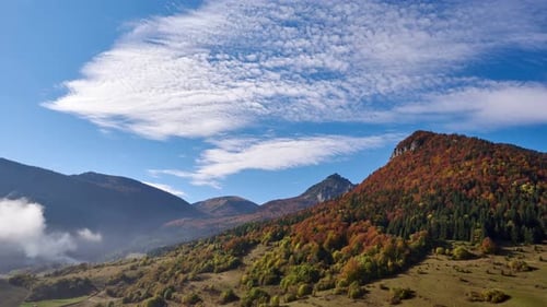 Autumn mountain forest landscape, tree colors, autumn colors. Blue sky with algae clouds