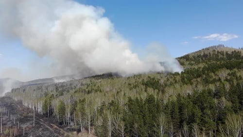 Luftverschmutzung durch Waldbrände Rauchwolken über dem brennenden Feld Luftaufnahmen