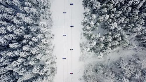 Aerial: alpine ski lift in winter forest