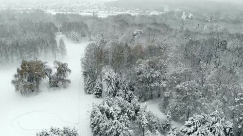 Luftaufnahme des Snowy Winter Park