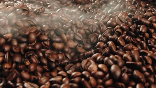 Steaming Pile of Freshly Roasted Coffee Beans