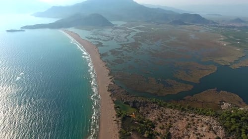 Delta, Swamp, Wetland, Sea and Morass by the Sea