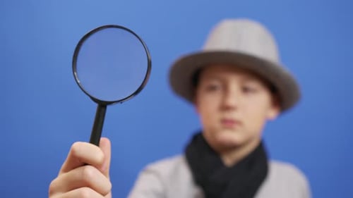 Search