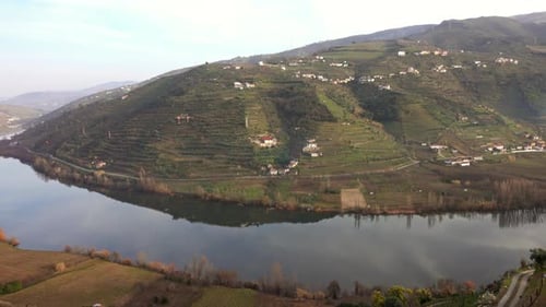 Viñedos en terrazas en el valle del río Duero