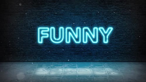 Flickering Neon Text on Dark Brick Wall