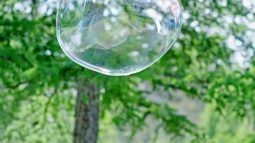 Giant Soap Bubbles Floating in Green Park