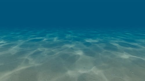 Clean Blue Swimming Pool Water Ripples and Wave