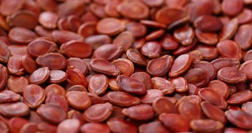 Chinese new year red melon seed