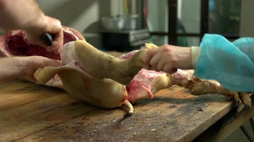 Butchering Pig Carcass on Wooden Table with Knife