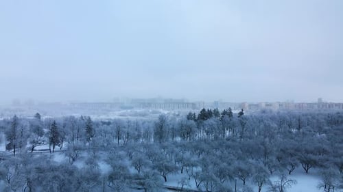 Winterlicher Stadtgarten. Bäume im Schnee. Über einen verschneiten Park fliegen. Luftaufnahmen.
