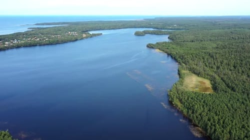Aerial View From Drone on Summer Forest and Lake