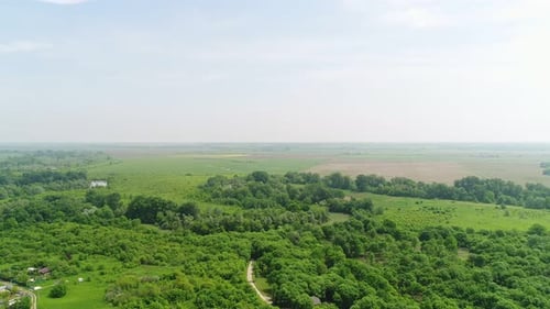 Aerial View Green Trees and Forest Pasture and Fields Dirt Road