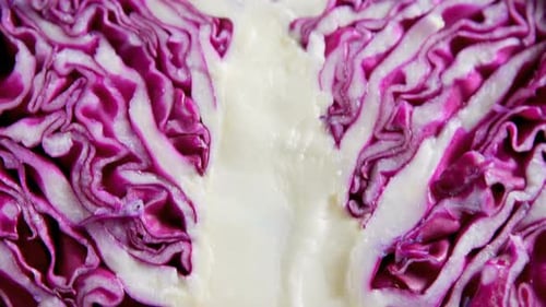 Detailed Close Up of Vibrant Red Cabbage Interior