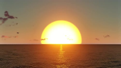 Scenic Ocean Sunset with Flying Birds Animation