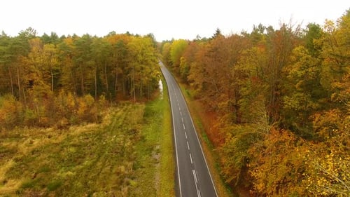 Aerial view of the road through the forest in autumn