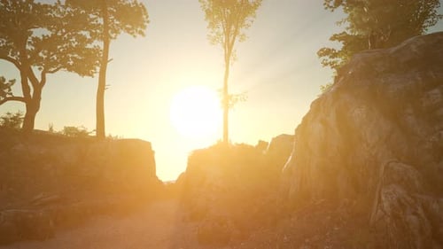 Trees on Rocks in Mountains at Sunset