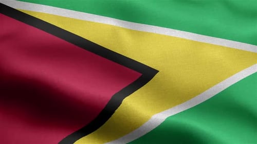 Realistic Waving Flag of Guyana Seamless Loop