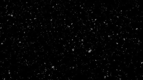 Falling White Snowflakes Against a Black Backdrop