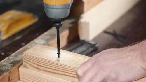 Young Carpenter Working in His Workshop