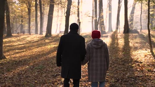 Aged Couple on Walk in Beautiful Autumn Park
