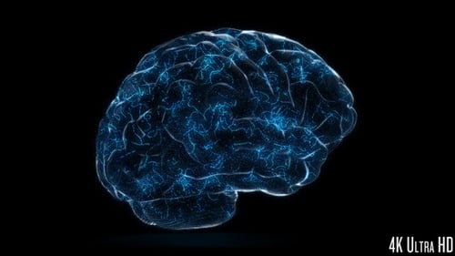 Digital Human Brain Hologram with Glowing Neural Network Activity