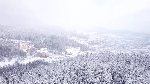 Village with Buildings All Covered with Snow . Aerial View